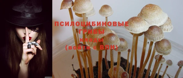 а пвп мука Туринск