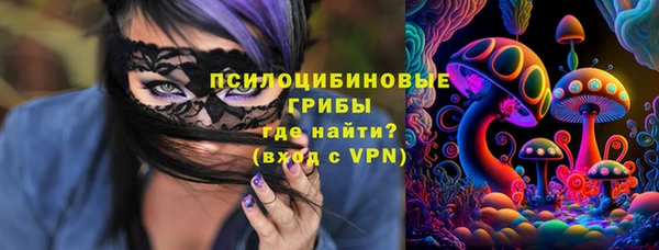 а пвп мука Туринск